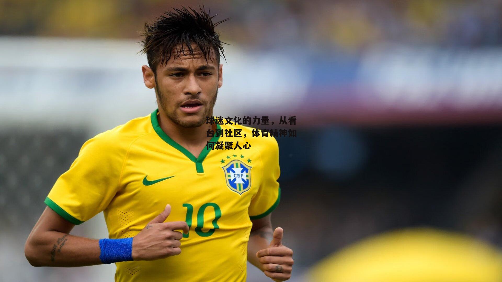 球迷文化的力量,从看台到社区,体育精神如何凝聚人心